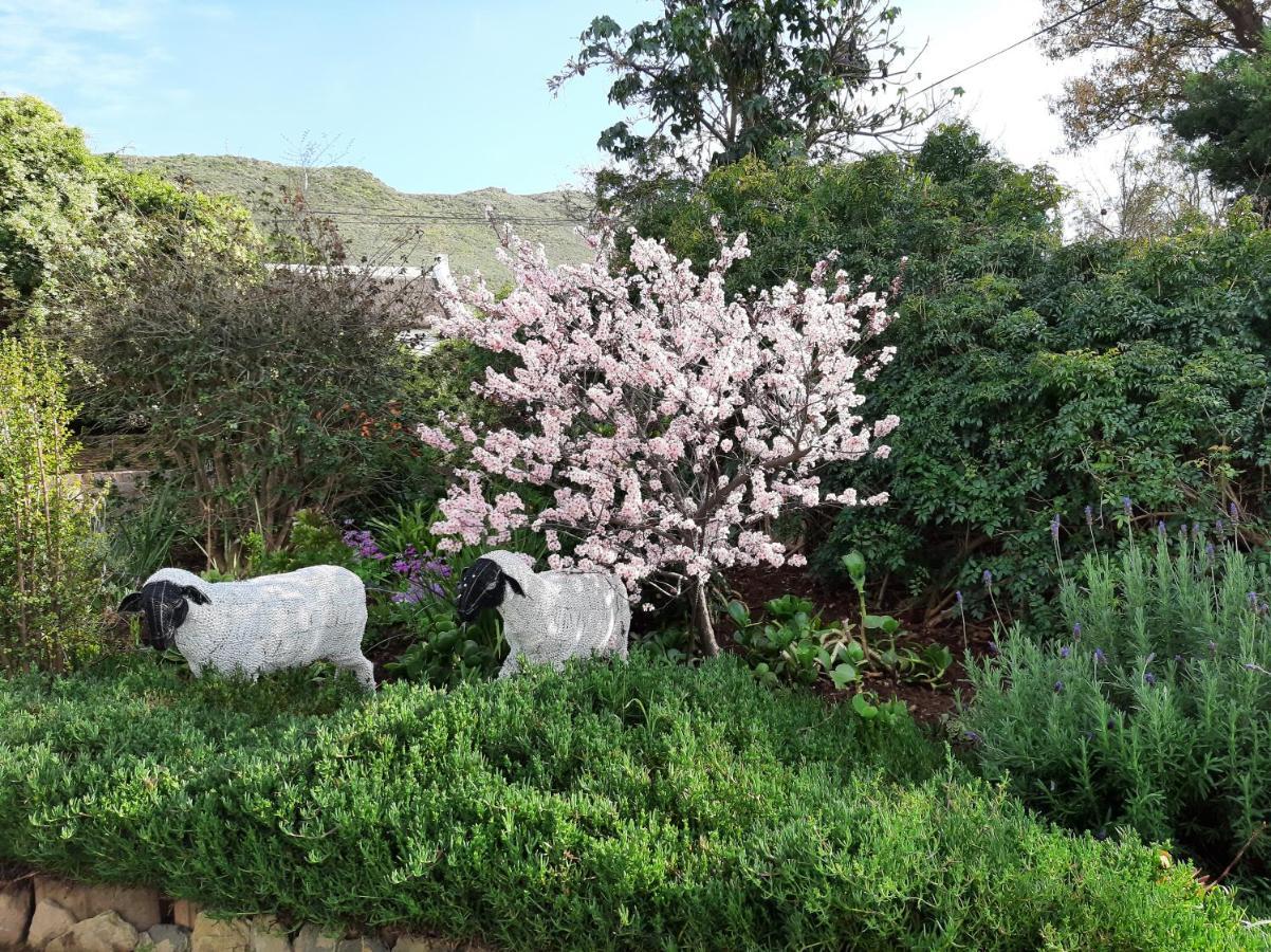 Over Karoo Inn Barrydale Exteriér fotografie